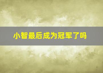 小智最后成为冠军了吗