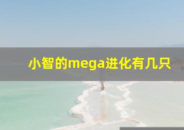 小智的mega进化有几只