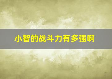 小智的战斗力有多强啊