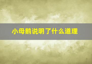 小母鹅说明了什么道理