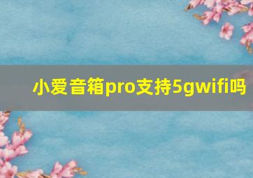 小爱音箱pro支持5gwifi吗