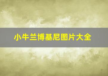 小牛兰博基尼图片大全