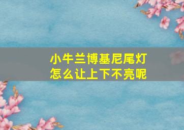 小牛兰博基尼尾灯怎么让上下不亮呢