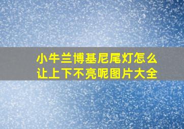 小牛兰博基尼尾灯怎么让上下不亮呢图片大全