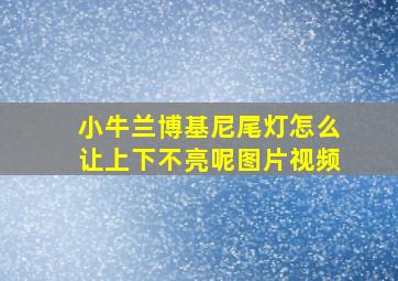 小牛兰博基尼尾灯怎么让上下不亮呢图片视频