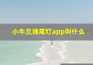 小牛兰博尾灯app叫什么