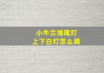 小牛兰博尾灯上下白灯怎么调