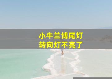 小牛兰博尾灯转向灯不亮了