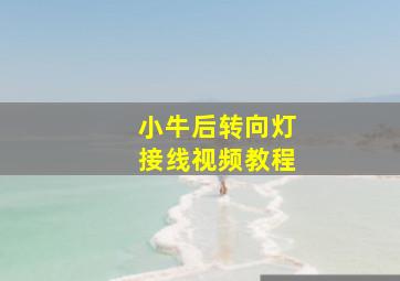 小牛后转向灯接线视频教程