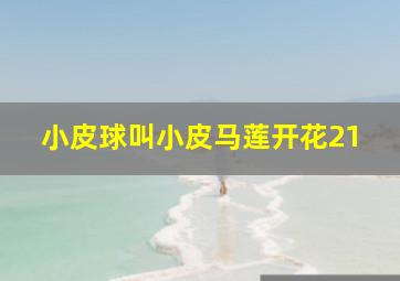 小皮球叫小皮马莲开花21