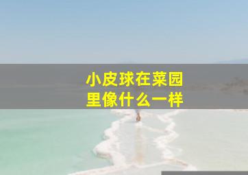 小皮球在菜园里像什么一样