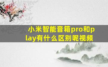 小米智能音箱pro和play有什么区别呢视频