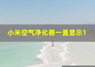 小米空气净化器一直显示1