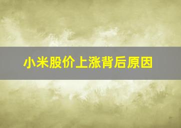 小米股价上涨背后原因