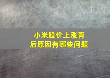 小米股价上涨背后原因有哪些问题