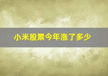 小米股票今年涨了多少