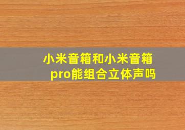 小米音箱和小米音箱pro能组合立体声吗