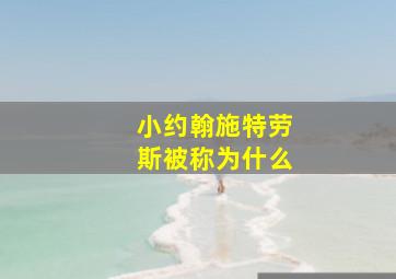 小约翰施特劳斯被称为什么