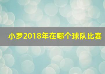 小罗2018年在哪个球队比赛