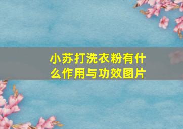 小苏打洗衣粉有什么作用与功效图片