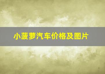 小菠萝汽车价格及图片