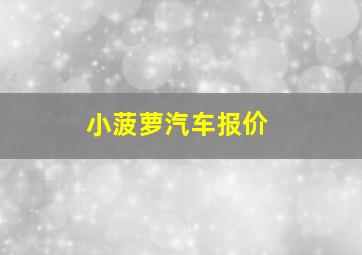 小菠萝汽车报价