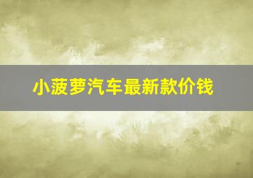 小菠萝汽车最新款价钱