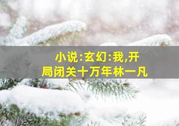 小说:玄幻:我,开局闭关十万年林一凡