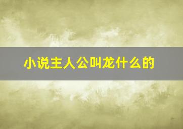 小说主人公叫龙什么的