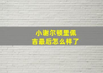 小谢尔顿里佩吉最后怎么样了