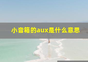 小音箱的aux是什么意思