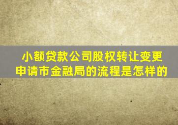 小额贷款公司股权转让变更申请市金融局的流程是怎样的