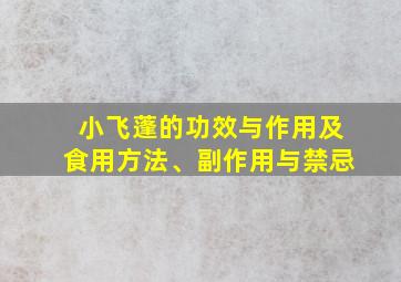 小飞蓬的功效与作用及食用方法、副作用与禁忌