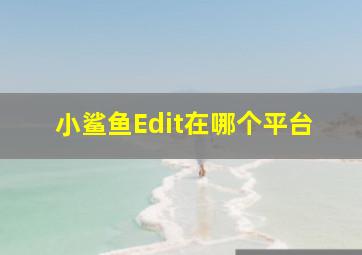 小鲨鱼Edit在哪个平台