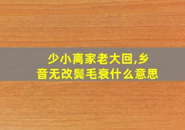 少小离家老大回,乡音无改鬓毛衰什么意思