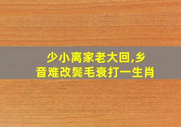 少小离家老大回,乡音难改鬓毛衰打一生肖