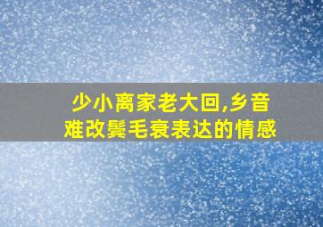 少小离家老大回,乡音难改鬓毛衰表达的情感