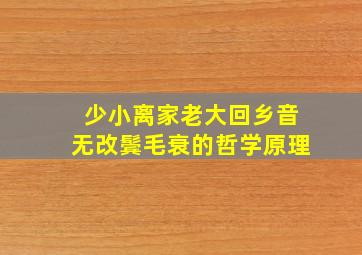 少小离家老大回乡音无改鬓毛衰的哲学原理