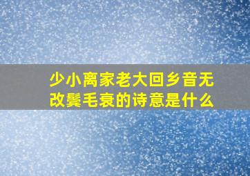 少小离家老大回乡音无改鬓毛衰的诗意是什么