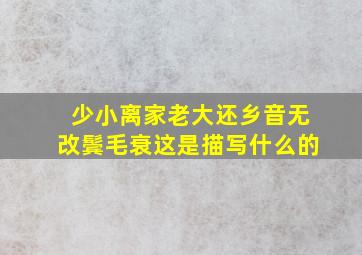 少小离家老大还乡音无改鬓毛衰这是描写什么的