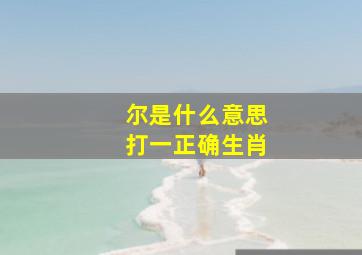 尔是什么意思打一正确生肖