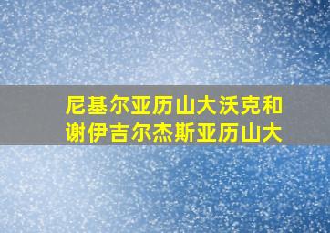 尼基尔亚历山大沃克和谢伊吉尔杰斯亚历山大