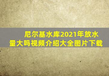 尼尔基水库2021年放水量大吗视频介绍大全图片下载