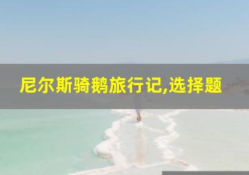 尼尔斯骑鹅旅行记,选择题