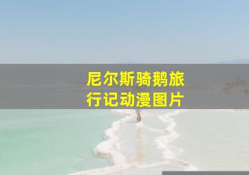 尼尔斯骑鹅旅行记动漫图片