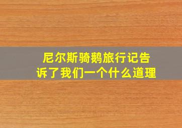 尼尔斯骑鹅旅行记告诉了我们一个什么道理