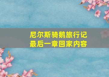 尼尔斯骑鹅旅行记最后一章回家内容