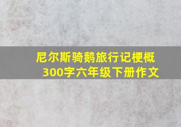 尼尔斯骑鹅旅行记梗概300字六年级下册作文