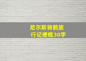 尼尔斯骑鹅旅行记梗概30字