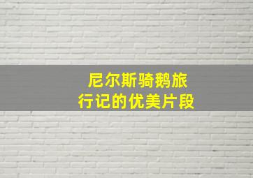 尼尔斯骑鹅旅行记的优美片段